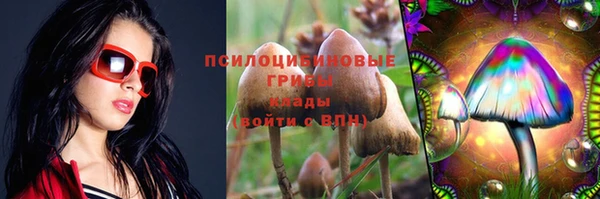 ГАЛЛЮЦИНОГЕННЫЕ ГРИБЫ Баксан