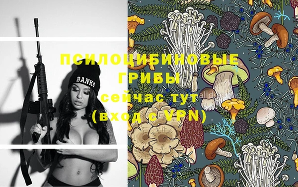 ГАЛЛЮЦИНОГЕННЫЕ ГРИБЫ Баксан