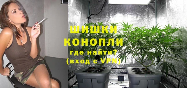 бошки Арсеньев